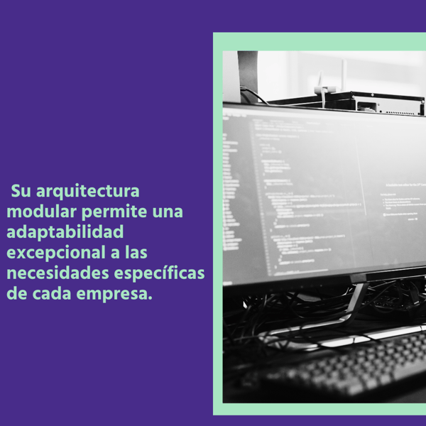 el valor de SmartSuite dentro de mi empresa