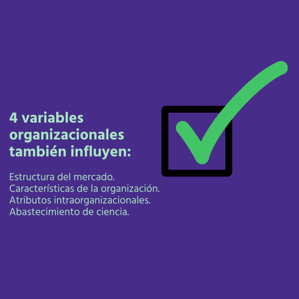 4 variables organizacionales