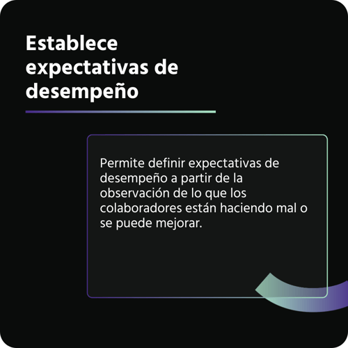 Establece expectativas de desempeño