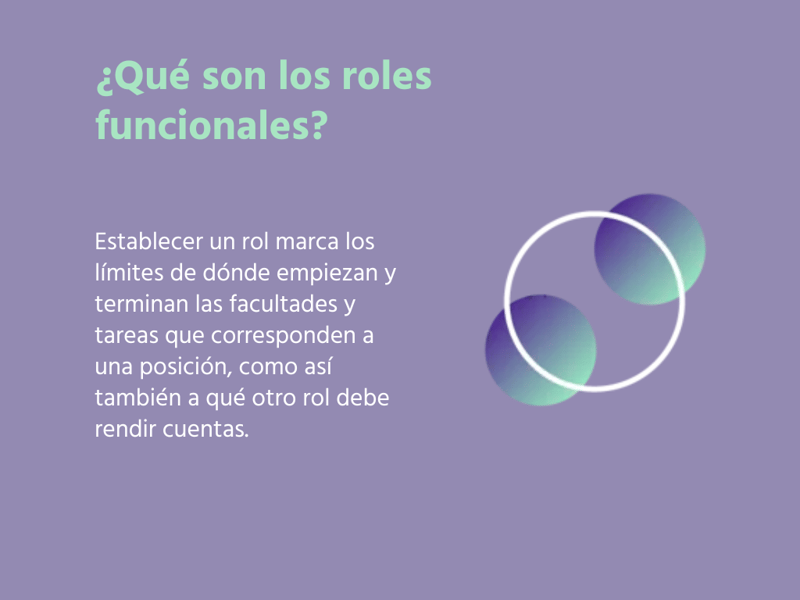 Qué son los roles funcionales